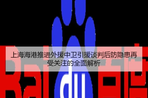 上海海港推进外援中卫引援谈判后防隐患再受关注的全面解析