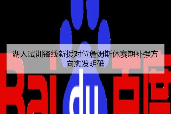 湖人试训锋线新援对位詹姆斯休赛期补强方向愈发明确
