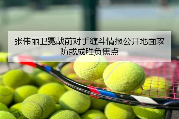 张伟丽卫冕战前对手缠斗情报公开地面攻防或成胜负焦点